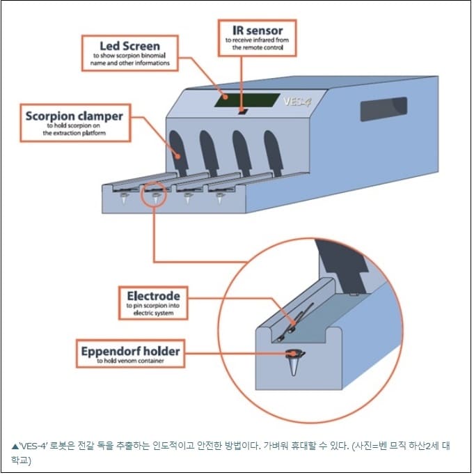 모로코 대학, 스콜피온 독 로봇으로 추출 VIDEO: The scorpion-milking robot: extracting the poison that cures