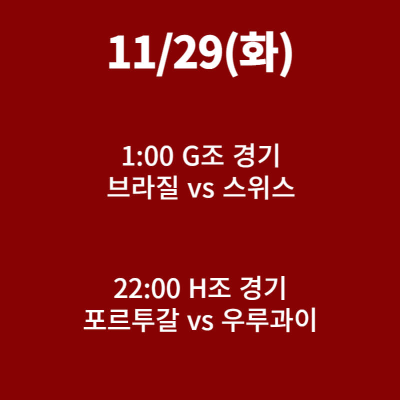 카타르 월드컵 일정