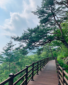 치유의 숲 산책도 나무다리 길