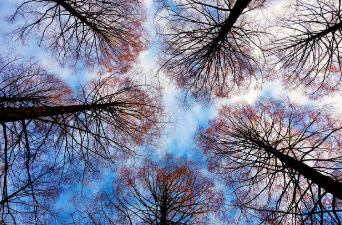 청와대 관람신청 한번에 해결 15