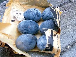 하코네 타마고차야(玉子茶屋)