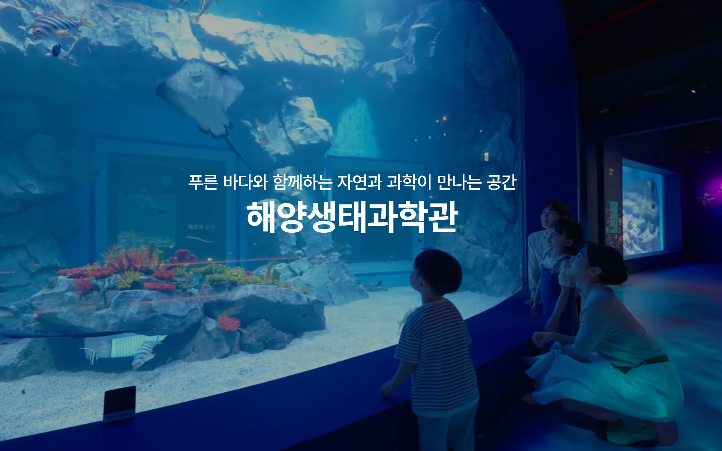 시흥해양생태과학관 기본정보 사진