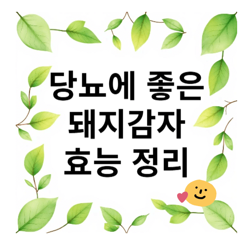 당뇨에 좋은 돼지감자 효능 정리
