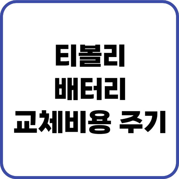 티볼리 배터리