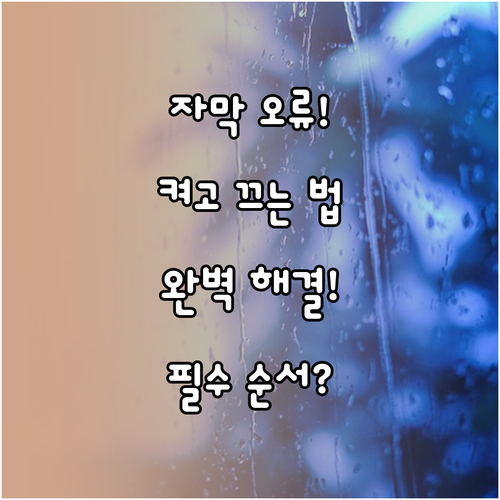 유튜브 자막 활성화 비활성화 및 오류..