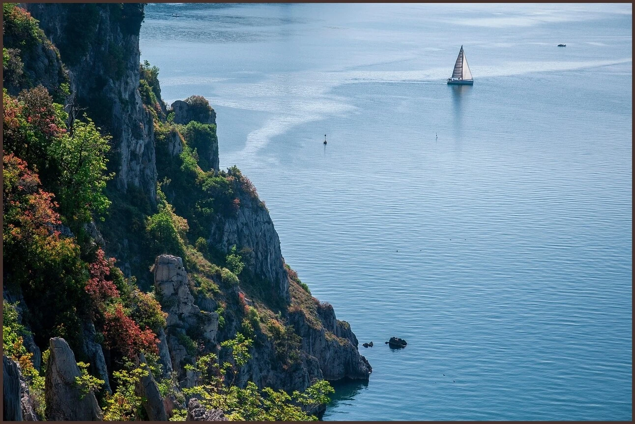 농협은행 정기예금 금리