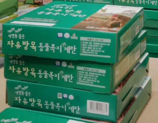 코스트코 추천상품