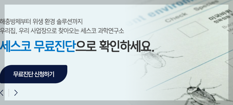 세스코 가정집 서비스 가격 무료진단, 관리 방식까지 3분 총정리