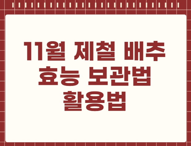 11월 제철 음식 효능 보관법 활용법