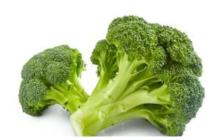 멍 빨리 뺴는데 도움을 주는 음식