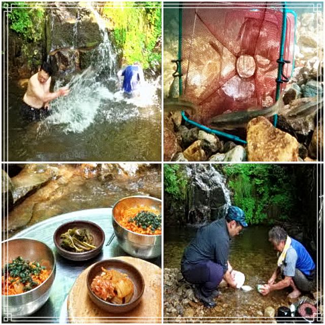 나는 자연인이다 압류, 빚 청산 후, 산속 드럼, 칡을 캐고, 계곡에 입수하는 삶, 오늘 할 일 무조건 내일로 자연인 정화영 소개 및 이승윤 출연 562회 다시보기