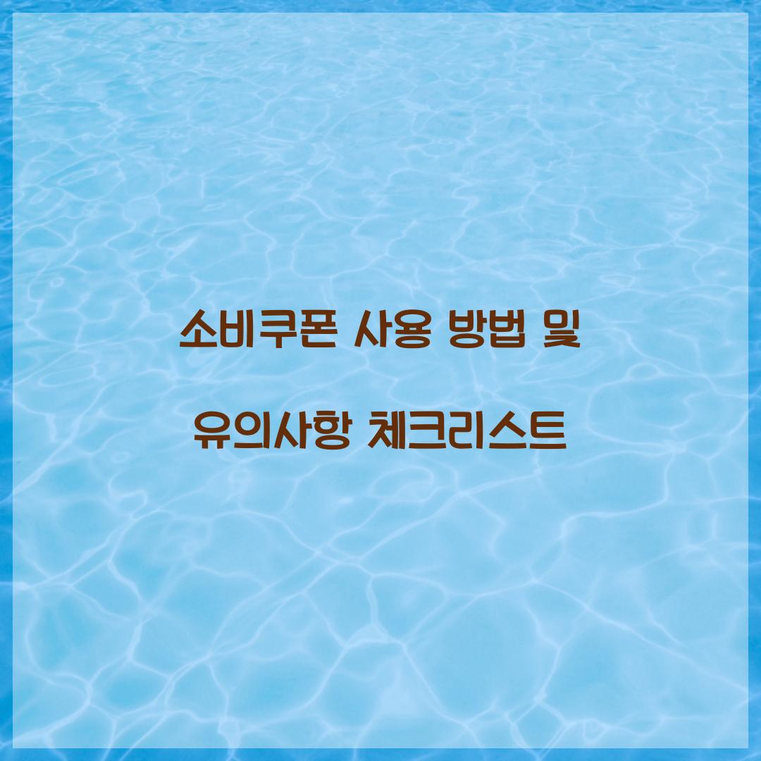 소비쿠폰 사용
