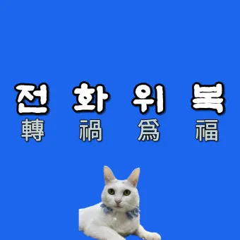 전화위복 뜻 유래 한자 비슷한 말 예문 영어 속담 반대말 정리_7