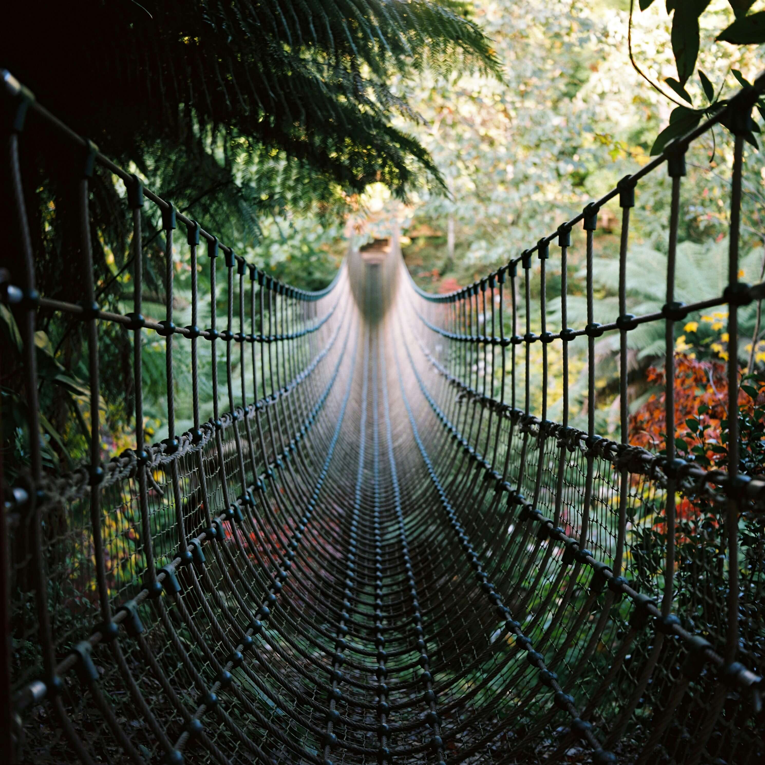 영동-월류봉- 출렁다리 -2026년 -준공 -예정-6