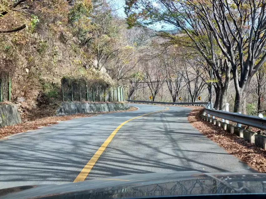 G80으로 굽이진 오르막을 다니던 모습입니다.