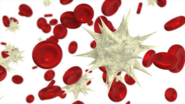 혈소판 수치가 높은이유