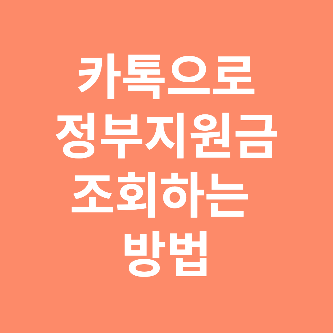 카톡으로 정부지원금 조회하는 방법