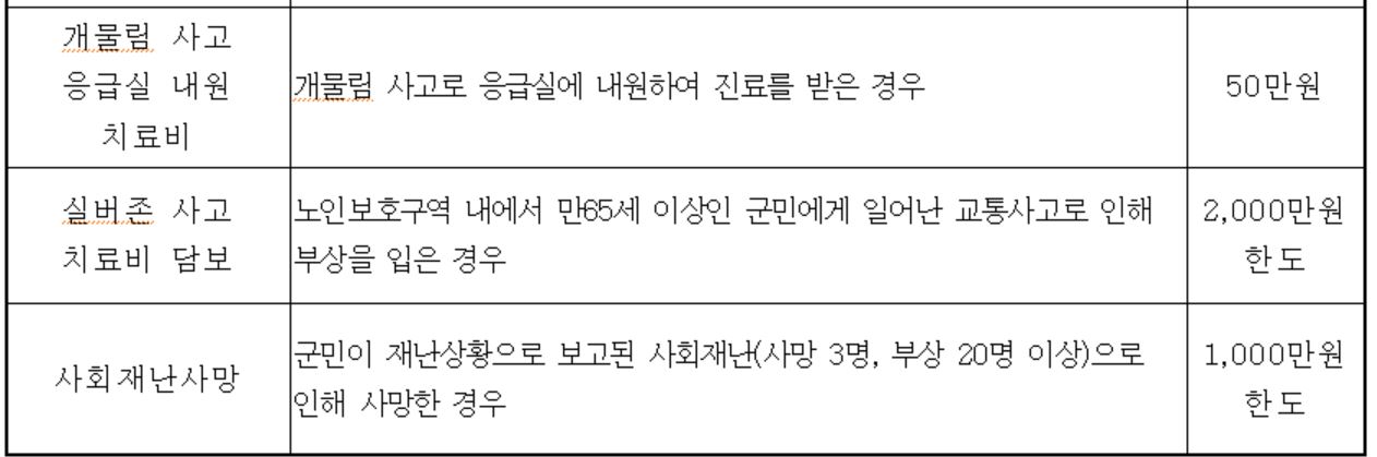 무안군 군민안전보험