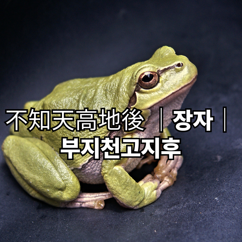 장자의 말, “부지천고지후(不知天高地厚)” – 하늘이 높고 땅이 두터움을 모른다?