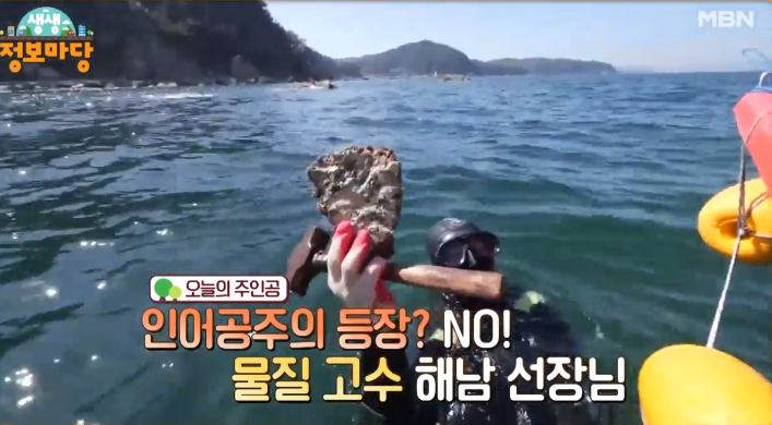 선장애 밥상 해루질 물질 고수 해남 선장님 직접 잡은 모듬 해산물 포항 호미곶 포장마차 맛집 추천