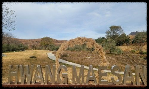 황매산 억새축제&amp;#44; 놓치면 후회할 필수 정보!