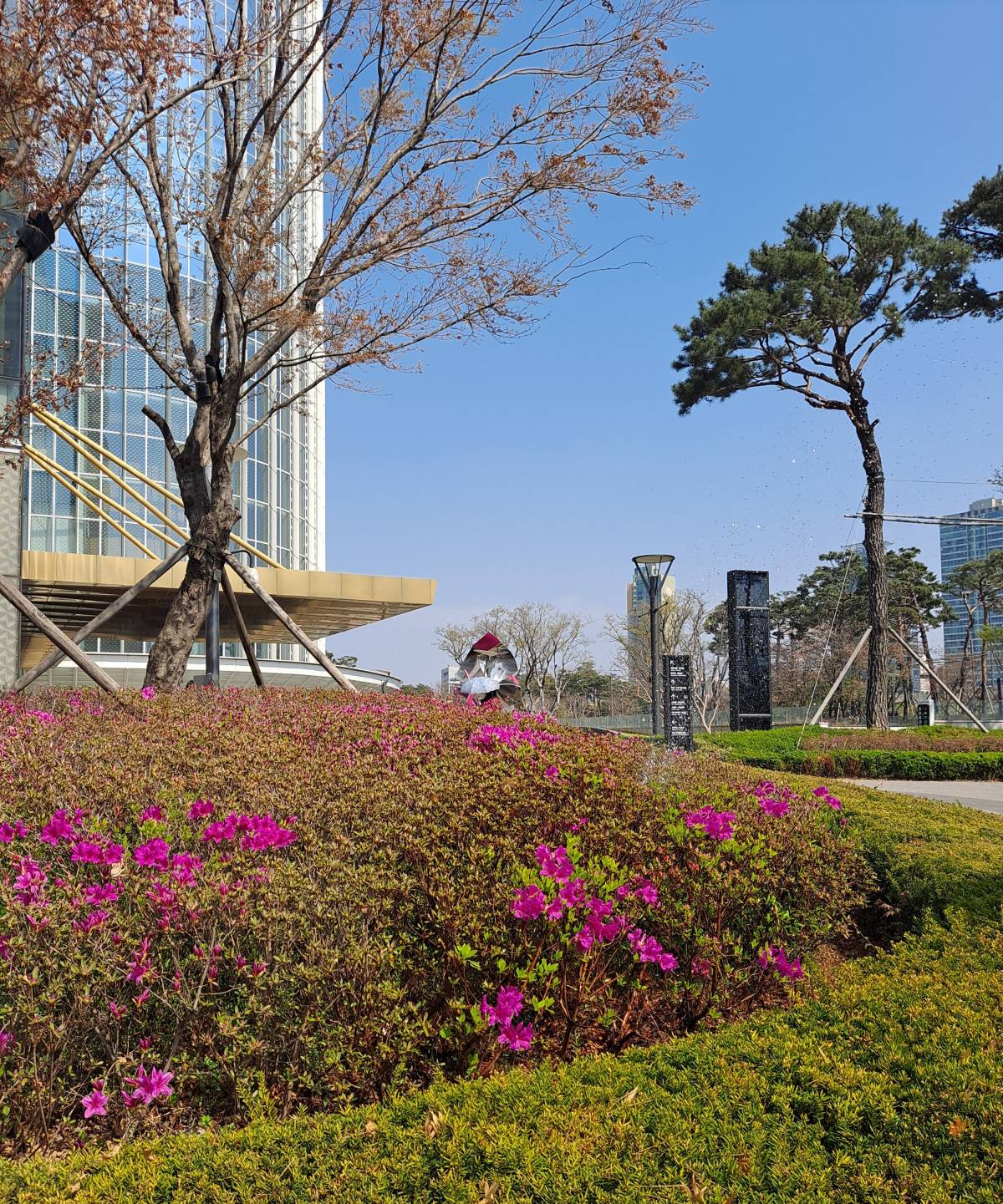 2롯데월드 진달래