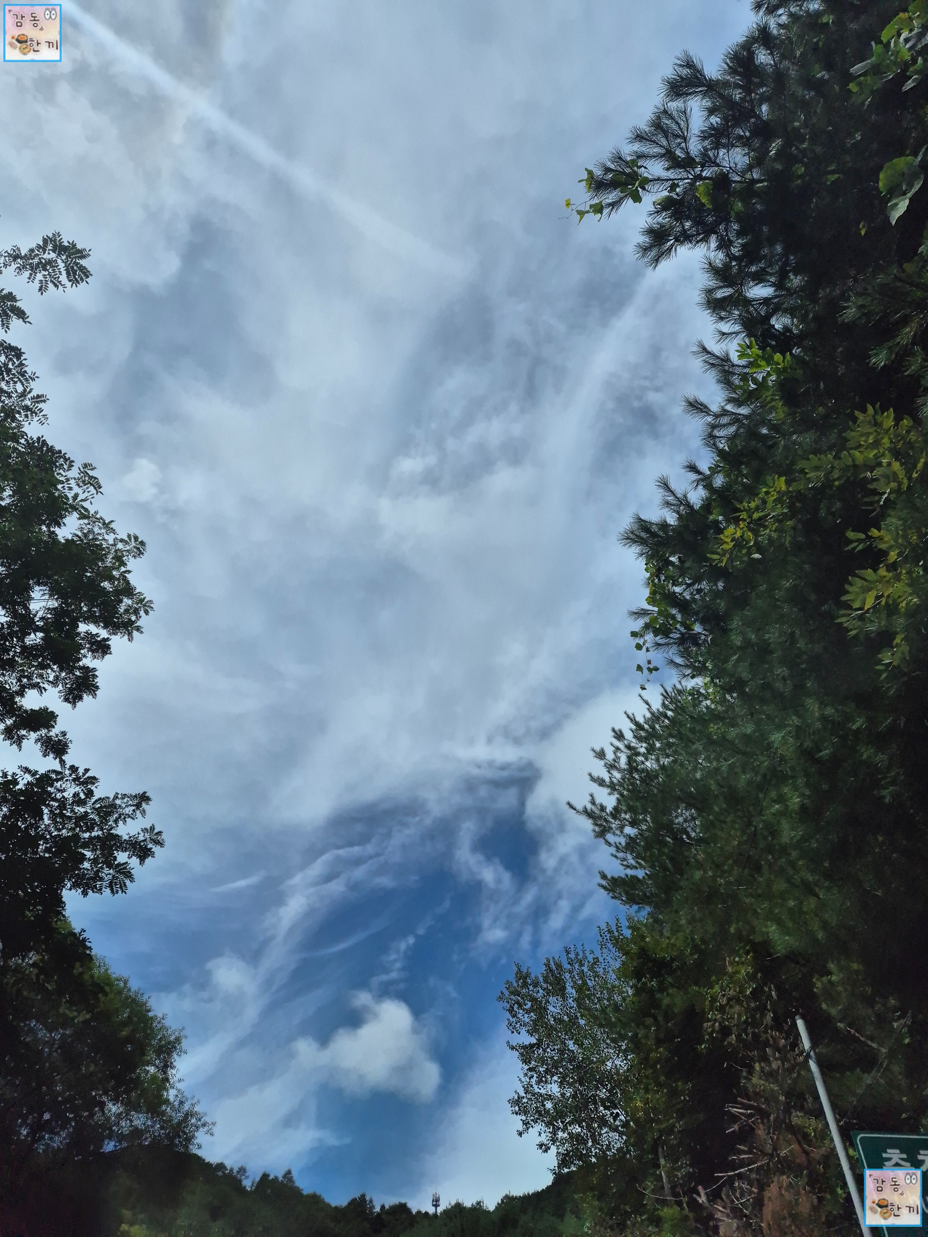양구 재래식손두부 본점 가는 길 하늘