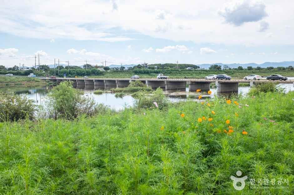 경산 가볼만한곳 베스트 10