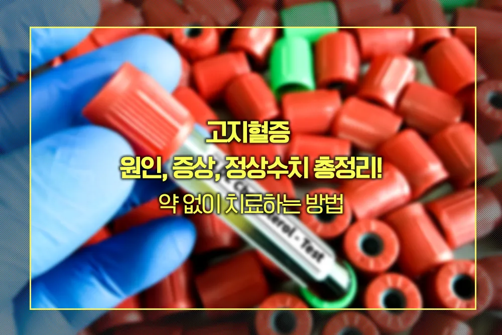 고지혈증 원인, 증상, 정상수치