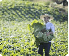 경상남도 농어업인수당 신청하고 연 30만원 지원 받기