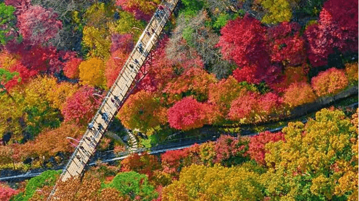 곤지암 화담숲 예약 취소하기