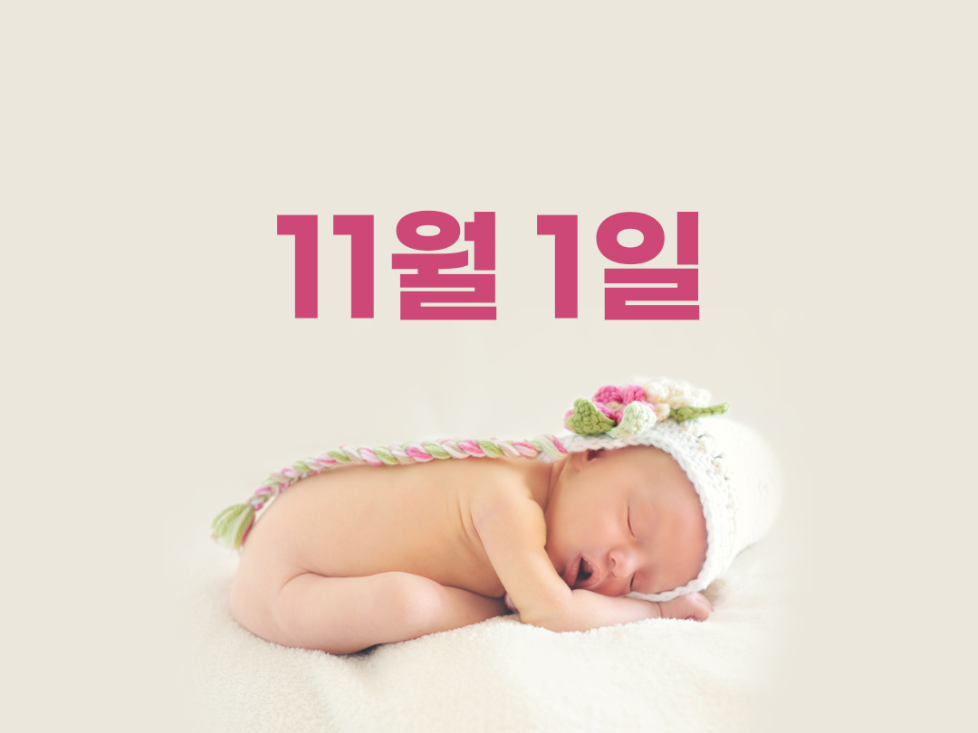 11월 1일 천주교 여자세례명 5가지