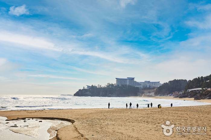 동해 가볼만한곳 - 추암해변, 촛대바위, 출렁다리