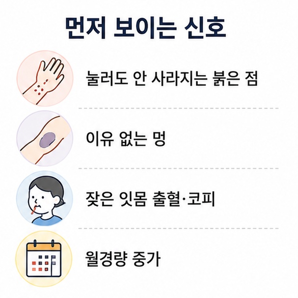 혈소판 감소의 초기 신호 목록, 눌러도 사라지지 않는 붉은 점과 이유 없는 멍, 잇몸 출혈과 코피를 정리한 카드