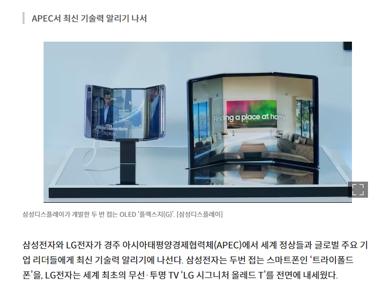 2025 APEC 정상회의 참가국