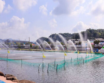 정남진 장흥 물축제_5