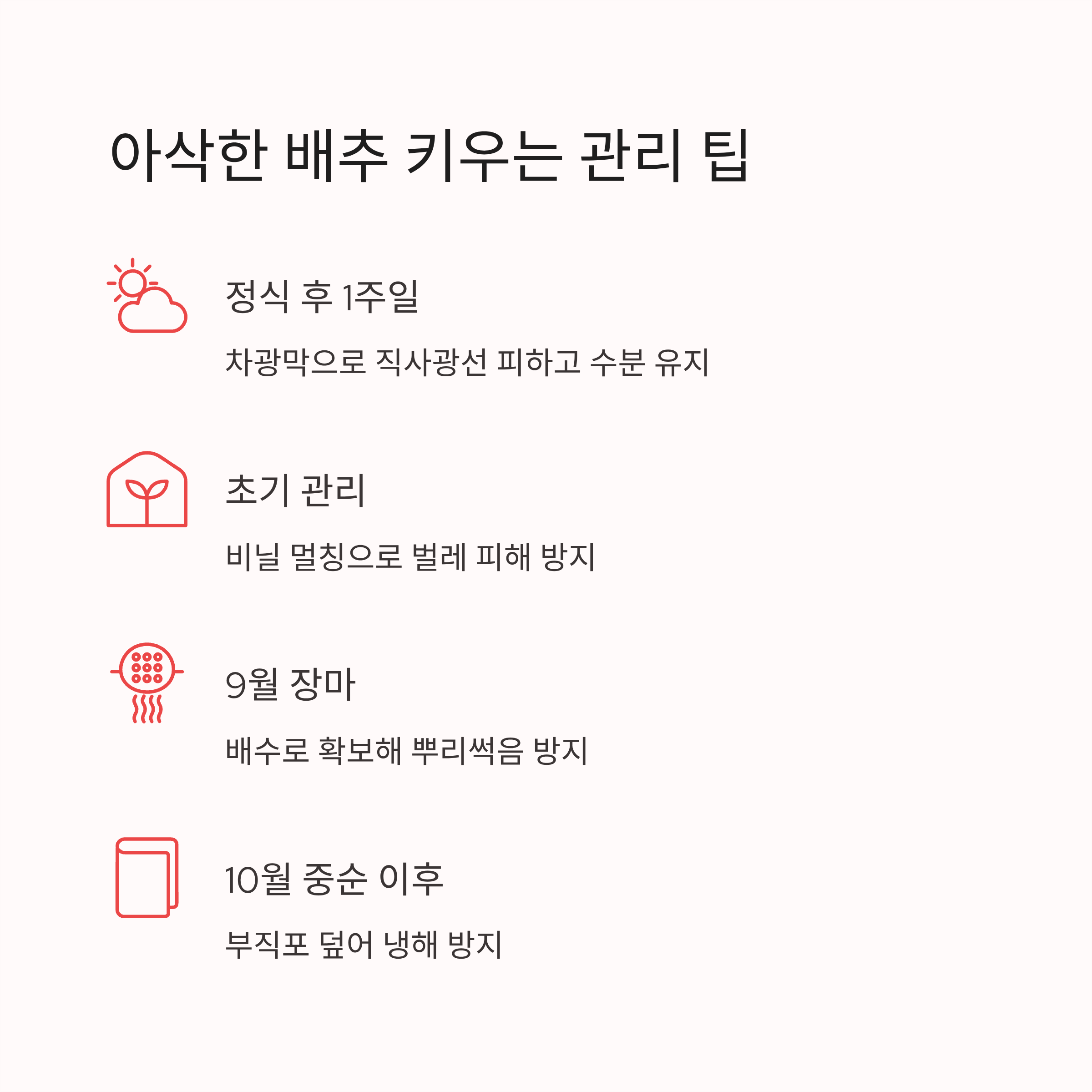 2025년 김장배추심는시기 · 수확시기 · 김장시기 ❘ 실패 없는 일정 완벽 가이드
