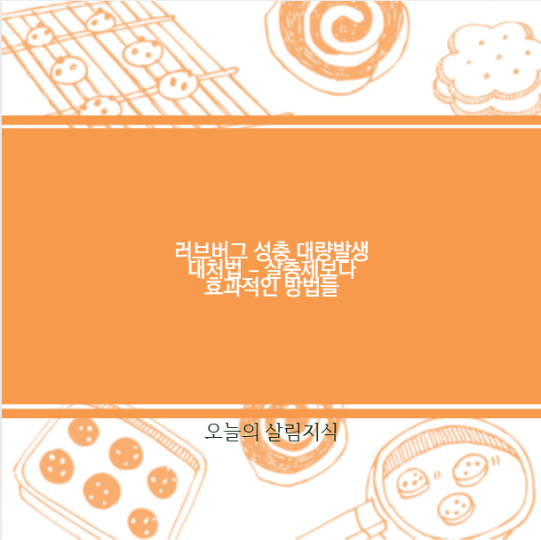 러브버그 성충 대량발생 대처법 &ndash; 살충제보다 효과적인 방법들