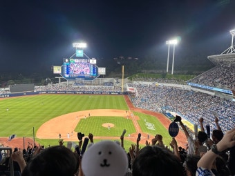 야구장 경기장 모습