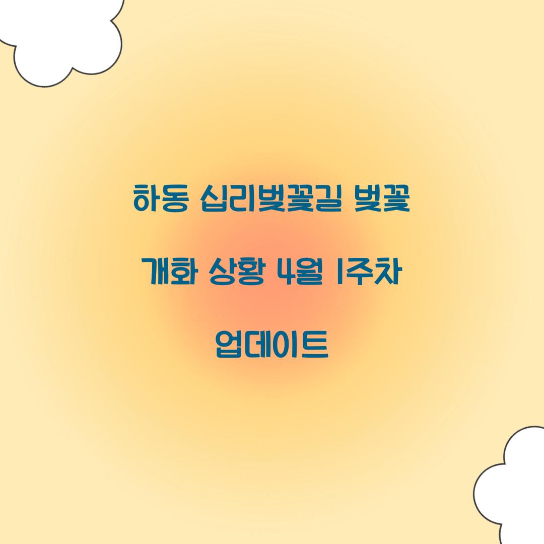 하동 십리벚꽃길 벚꽃 개화 상황