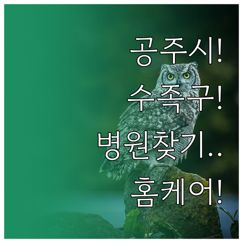공주시에서 아이 수족구 걸렸을 때 병..