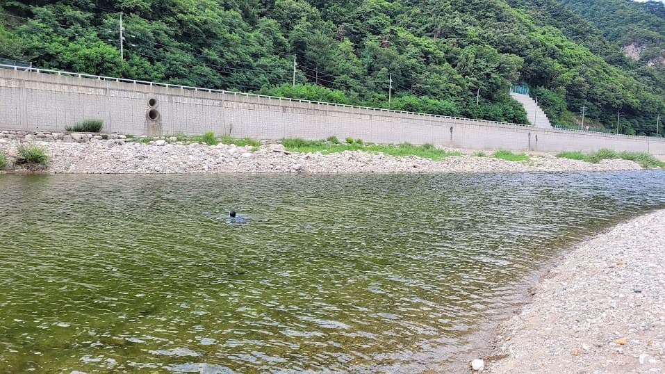 개천 물놀이 모습