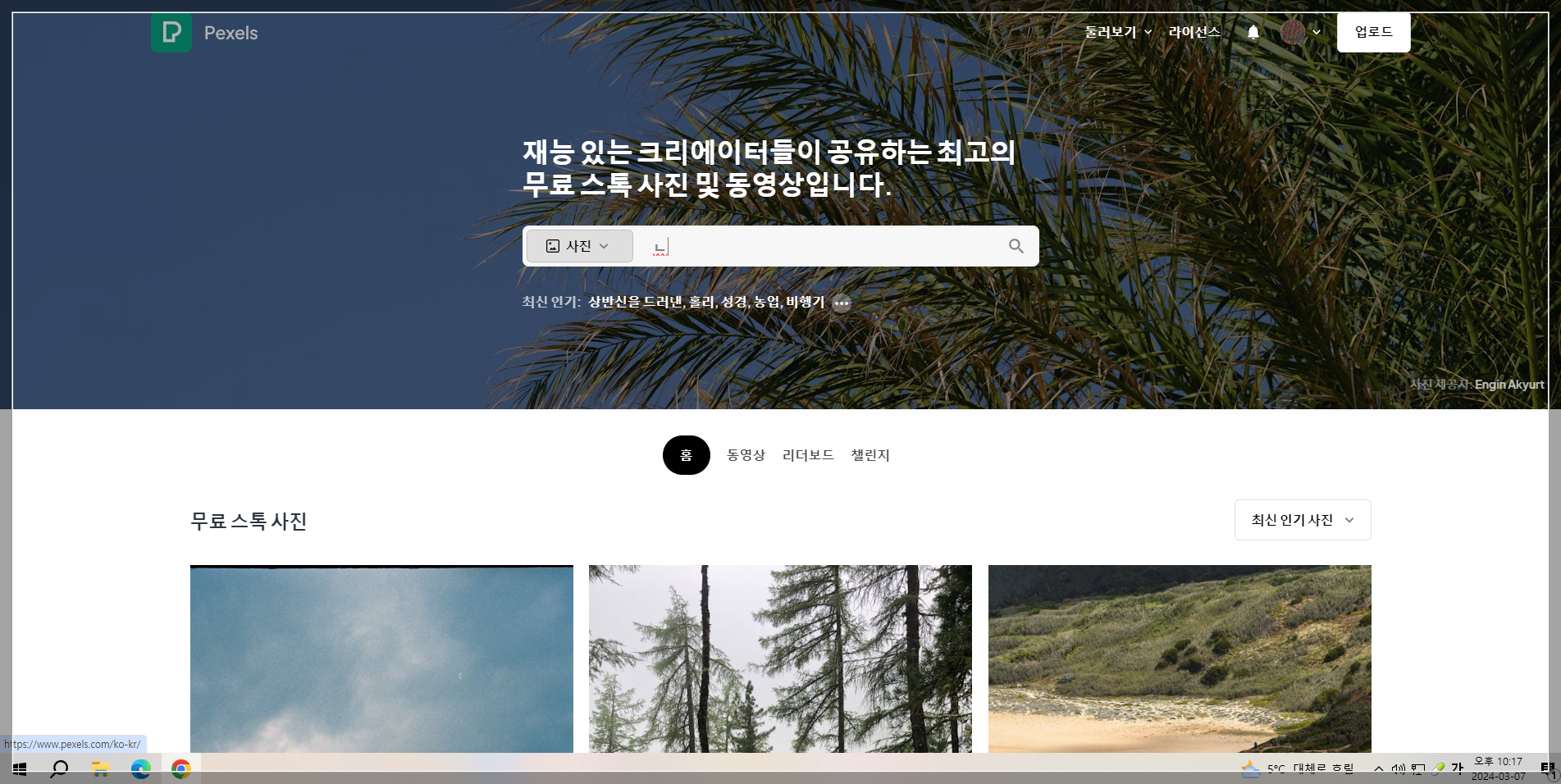 픽셀스