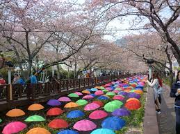  진해군항제 프로그램