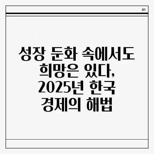 성장 둔화 속에서도 희망은 있다, 2025년 한국 경제의 해법