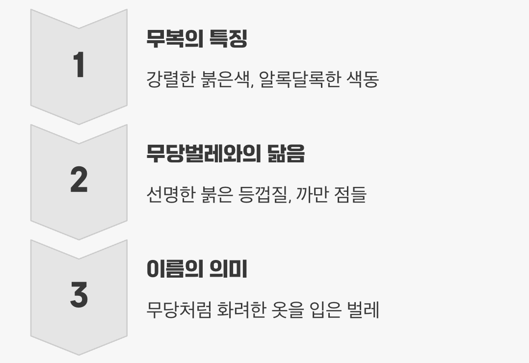 2. 진짜 힌트는 바로 '화려한 옷'