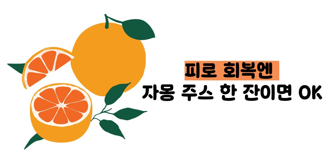 자몽 효능