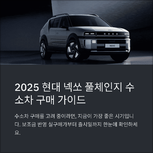 2025 현대 넥쏘 풀체인지 수소차 보조금 반영 실구매가와 출시일