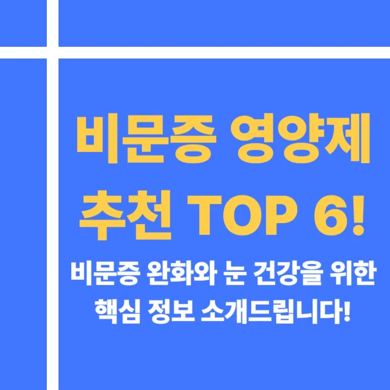 비문증 영양제