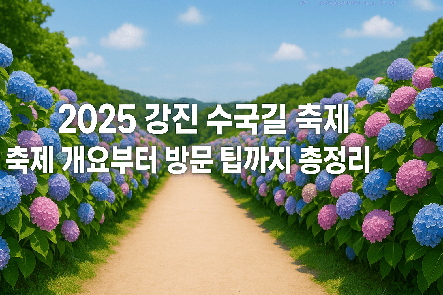 2025 강진 수국길 축제 : 축제 개요부터 방문 팁까지 총정리